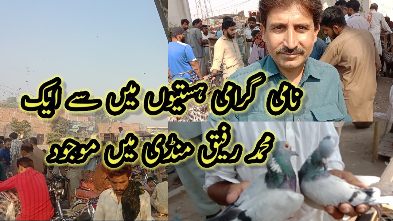 Mamo Rafiq Multan Friday Kabootar Mandi Multan| Chief Guest Is Muhammad Rafiq Karachi ...