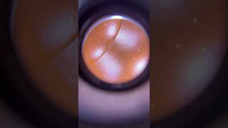 65Cc Chinese Yixing Handmade Zisha Red Clay Hong Ni Teapot Bian Li Gongfu Teapot Tea Pot