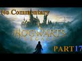 Hogwarts Legacy No Commentary Walkthrough Part 17