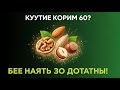 🌰 Усталость после 60? Эти «волшебные» орехи вернут тебе силу! 💥