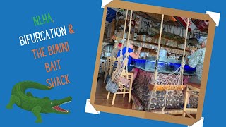 NLHA Bifurcation the Bimini Bait Shack
