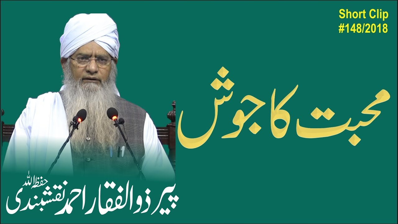 Mohabbat Ka Josh | محبت کا جوش | مولانا پیر ذوالفقار احمد نقشبندی