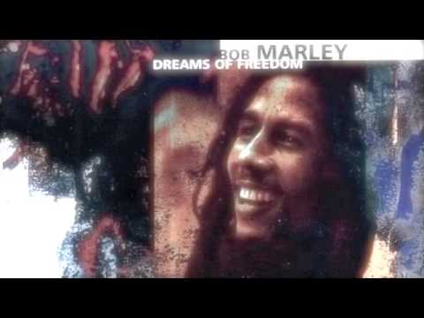 The Heathen ( Dub Remix) - Bob Marley