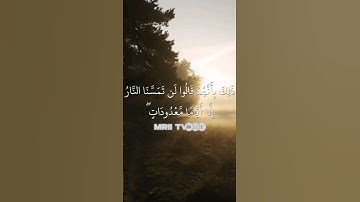ماهر المعيقلي - سورة آل عمران ( برواية حفص عن عاصم ) الأية 24