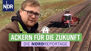 Ackern für die Zukunft - Der junge Kartoffelbauer | Die Nordreportage | NDR