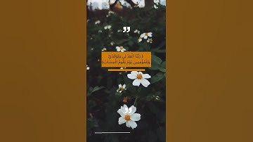 #تلاوة_خاشعة #قرآن #musliman #مسلم #تلاوة_عذبه #muslima#آيه_من_كتاب_الله #تلاوة_القران_الكريم#quran
