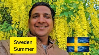 Sweden Desh Summer Me Kitna Beautiful Dikhta H? So much Green 💚🍏🌲🌱🐦