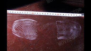 MOVEED®  Crime Scene Wide Footprint Tracing Lamp OR-GZJ80