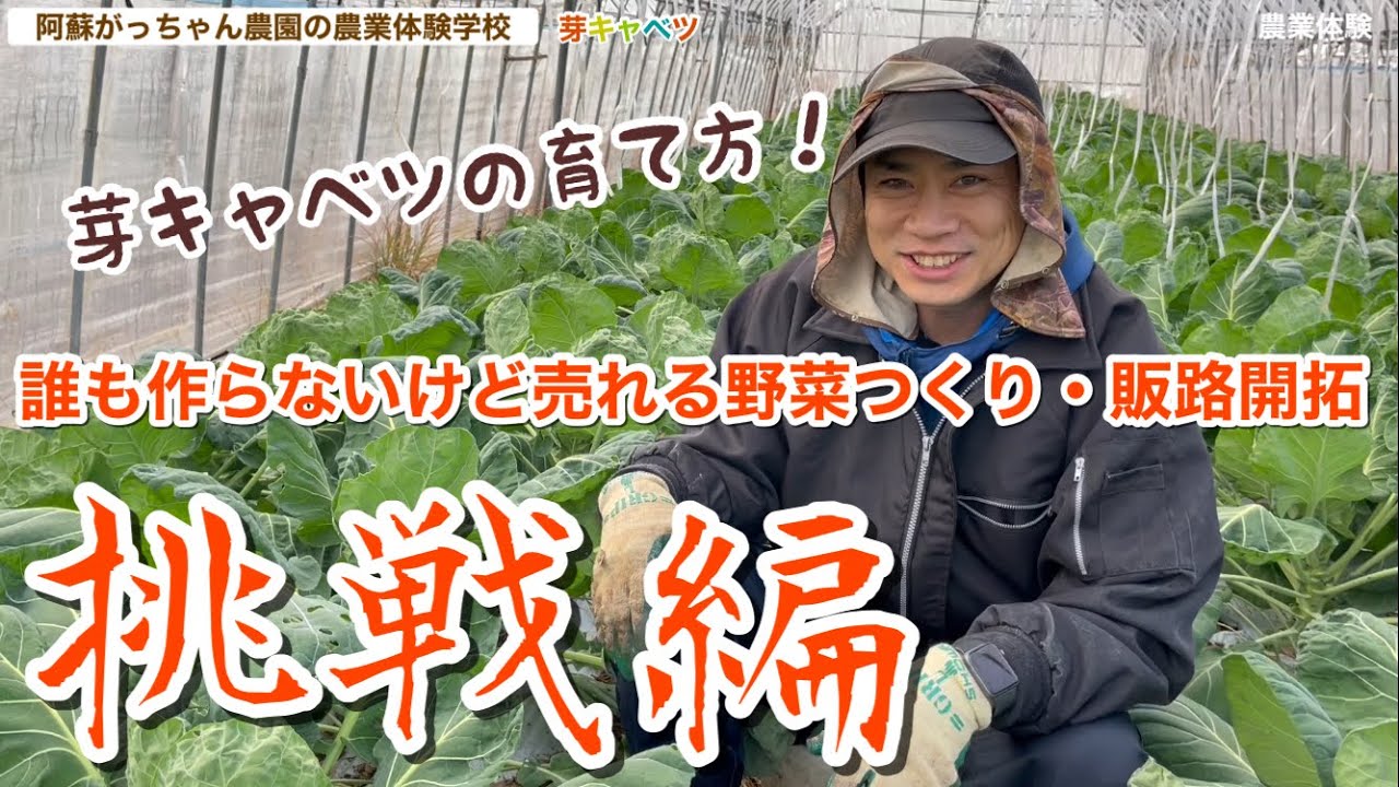 芽キャベツの育て方 誰も作らないけど売れる野菜つくり 販路開拓挑戦編 阿蘇がっちゃん農園の農業体験学校 芽キャベツ Youtube