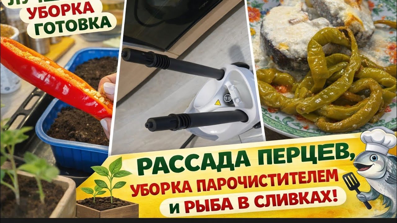 «Жизнь в Эстонии 🇪🇪 Ждем весну. Рассада перцев, новый гаджет и ужин из нежной рыбы.