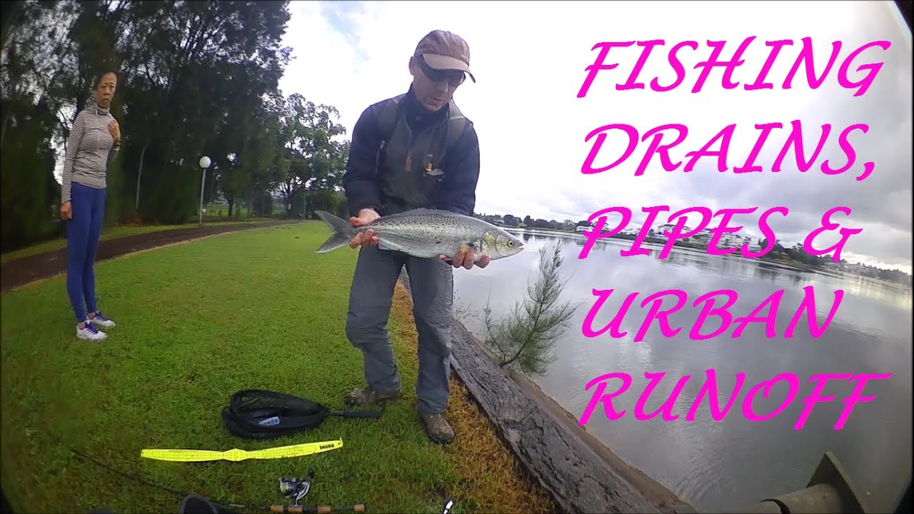 Fishing Sydney Drains After Heavy Rain YouTube