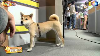 麥卡貝Live直播 20150827 木曜四超玩_01 限時GANK 燒餅才是主角