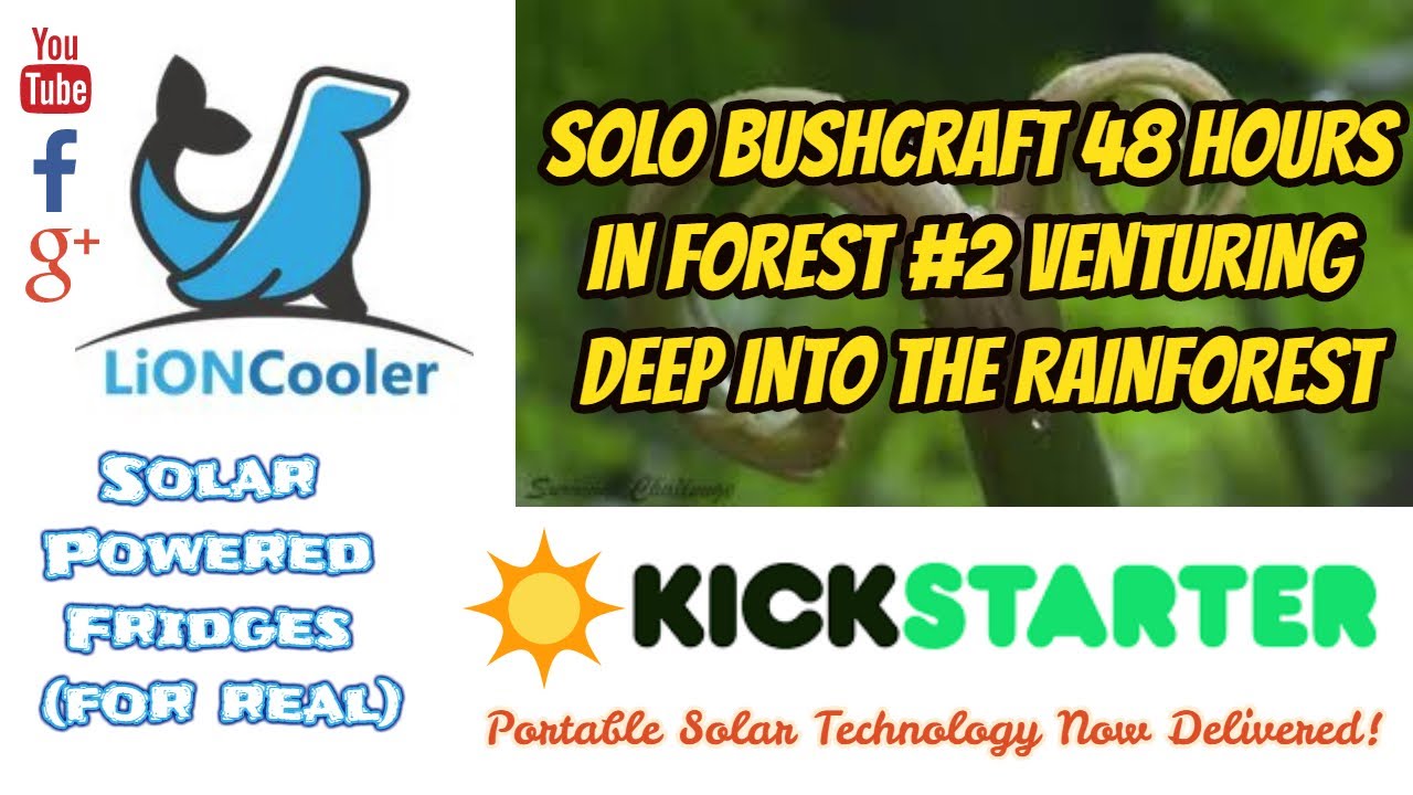 SOLO BUSHCRAFT 48 HOURS IN FOREST #2 VENTURING DEEP INTO THE RAINFOREST ...