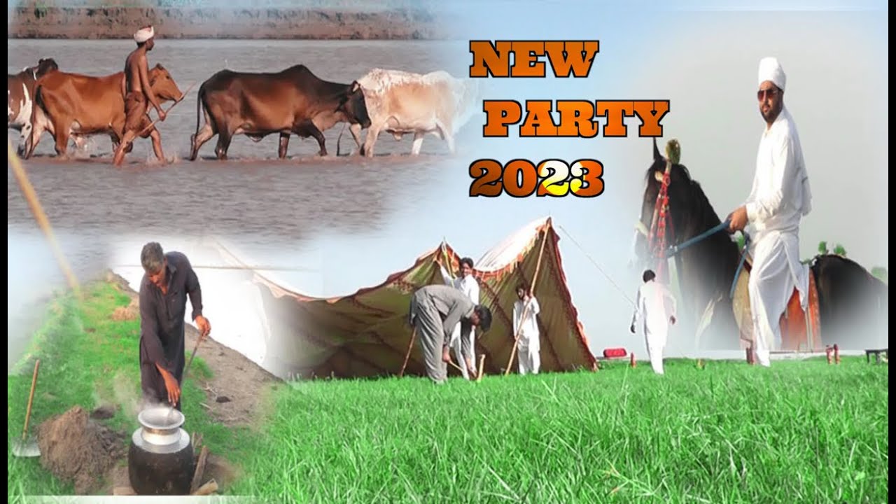 NEW PARTY 2023 // Kallu juganu safeguard Hajra || Funny Video By