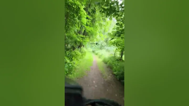 e bike ride through William Burchfield Park. River...