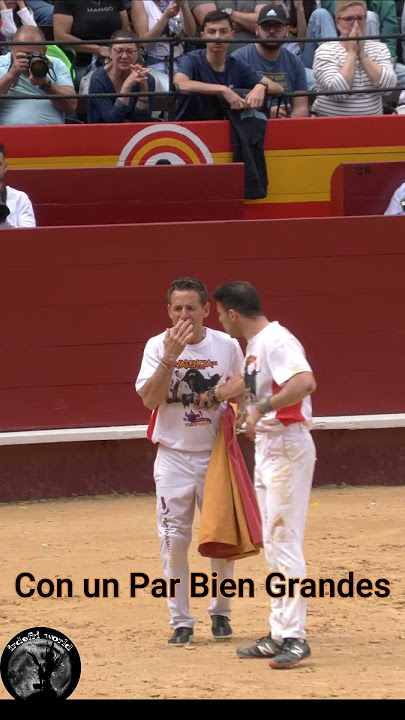 Toro da revolcón al Peta Valencia 2023 #shorts
