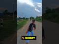 "Mera bhi bana Bandar 🐒 " |Day 13/125|#minivlog #shortsfeed #viralshort #shorts