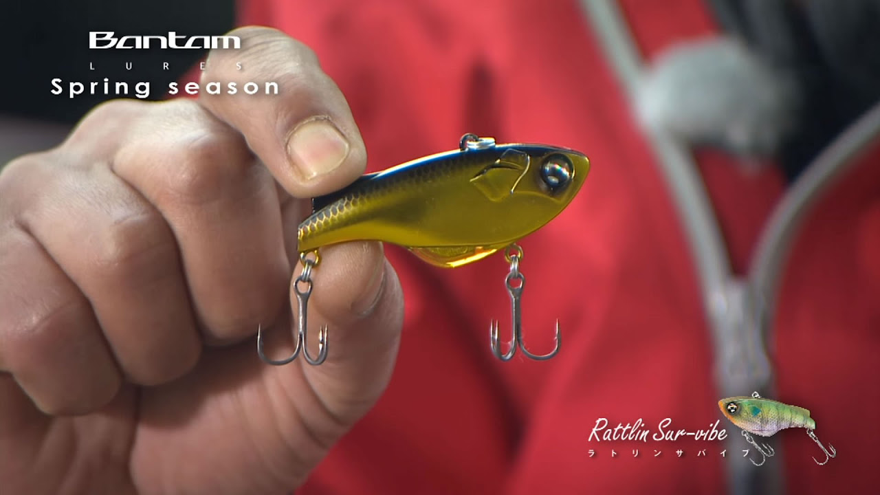 お得　バンタム　ルアーセット ラトリンサバイブ　コザック Amazon.co.jp: シマノ(SHIMANO) ルアー バンタム ラトリン