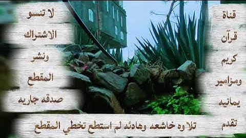 لقد رزقه الله مزمار من مزامير ال داود 😰😥 تلاوه خاشعه وهادئه 