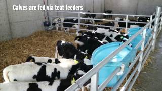 This shed was built especially for rearing calves on an expanding dairy farm. Read more: http://www.farmersjournal.ie/bespoke-calf-