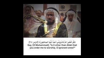 القارئ عمر عبدالعزيز ماتيسر من سورة الزمر