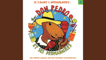 Les Quatre Dromadaires