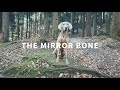 Dog Moral Story: The Bone in the Water 🕯️ Advent with Zio 🐾