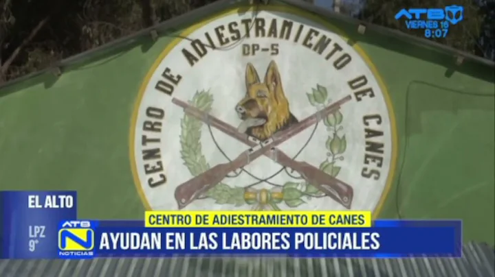 Centro de adiestramiento de canes en la ciudad de El Alto