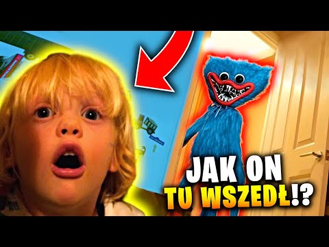 4 SZALONE REAKCJE