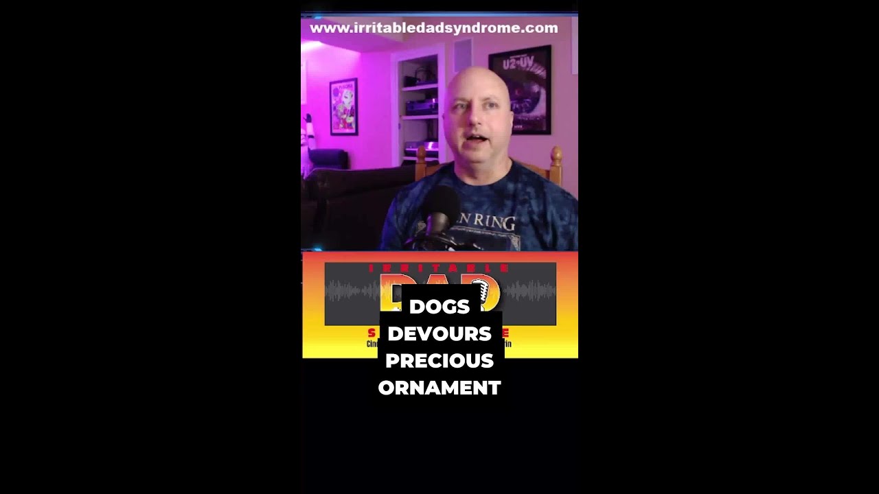 Dog Destroys Collectible Christmas Ornaments!