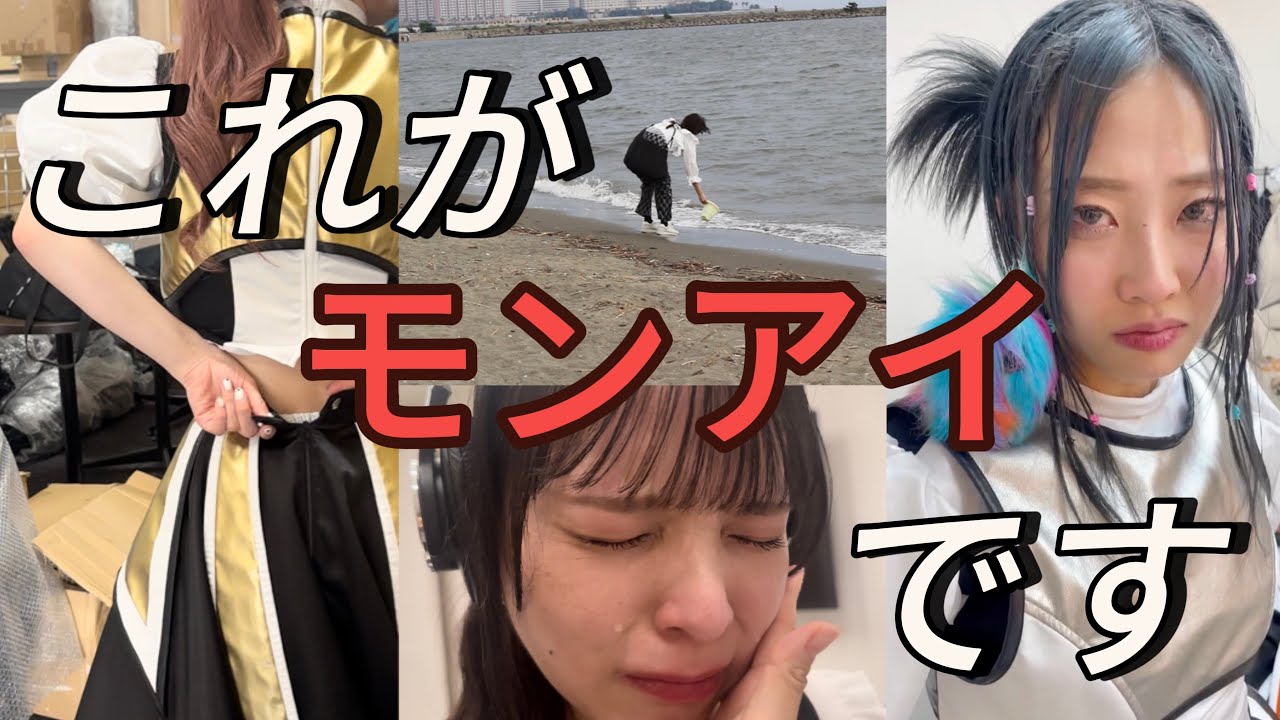 【素です】泣いたり笑ったり喧嘩したり⁉️な私たち【豆柴の大群都内某所】