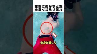 謎の生物に張り付かれたら絶対にしてはいけない事。唯一の助かる道は全身くねくね!?