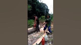 Download lagu Yok Kawan Main Ke Hutan
