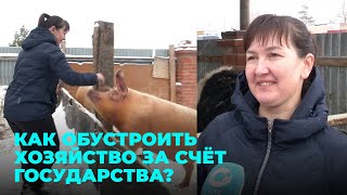 200 тысяч на создание собственной фермы даёт государство