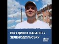 Через обстріли Херсонщини дикі кабани прийшли у Зеленодольськ |1kr.ua
