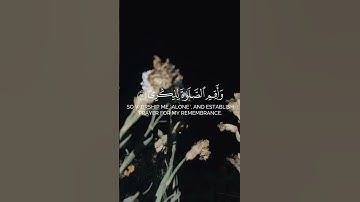 وَأَنَا اخْتَرْتُكَ فَاسْتَمِعْ لِمَا يُوحَىٰ🤍آيات عطرة من سورة طه بصوت الشيخ ياسر الدوسري♥️ #قرآن