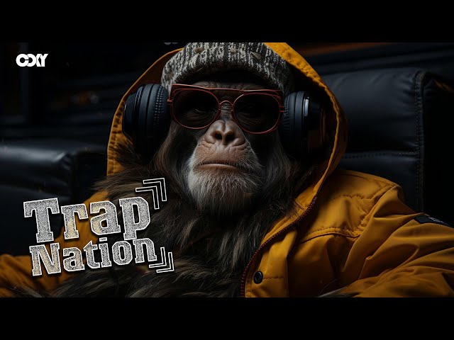 The Trap Nation 2024 - Playlist Trap Rap Hip Hop Party Music 2024 - Trap Night 2024 class=