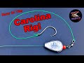 How to tie a carolina rig for catfish  fishing rigs for beginners