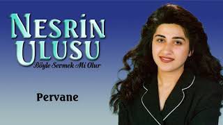 Nesrin Ulusu - Pervane Resimi