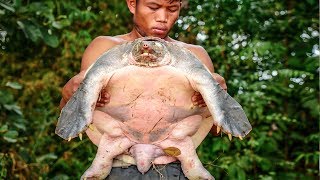 Primitive Technology, Giant turtle was trapped by accidentally