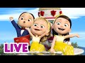 LIVE Маша та Ведмідь Квіти та кохання НАЖИВО LIVE Маша та Ведмідь Квіти та кохання НАЖИВО