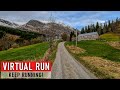 Virtual run  trailrunning in norway nature scenery virtual runnings for treadmill