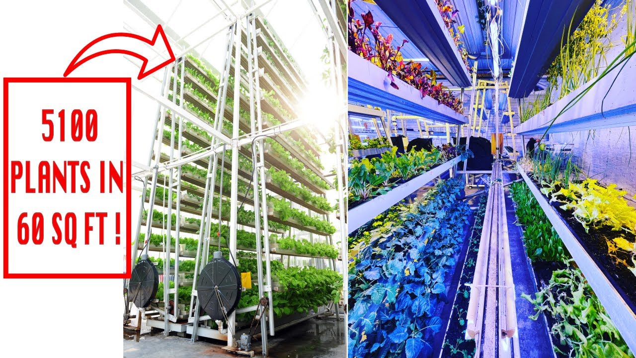 increase-your-plant-production-by-up-to-10x-youtube