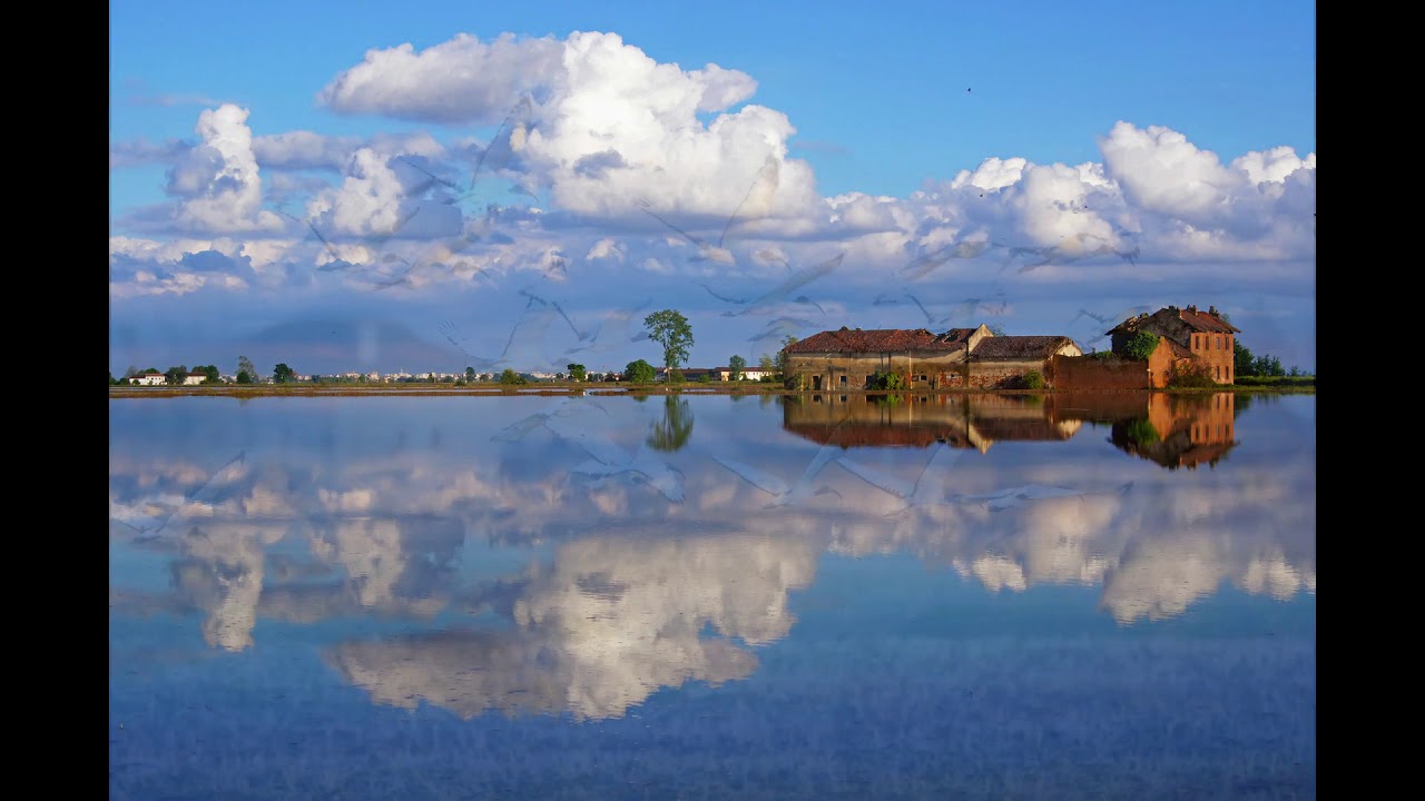 Max Giannotta fotogallery risaie vercellesi