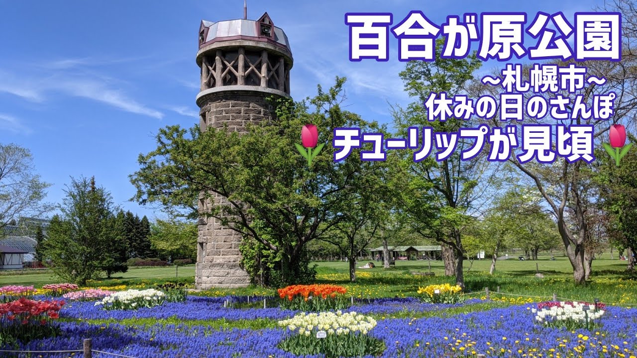 百合が原公園 色とりどりのチューリップが見頃 札幌市北区 Youtube