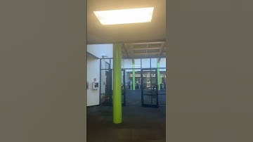 How does mass timber affect the acoustic properties of this building?