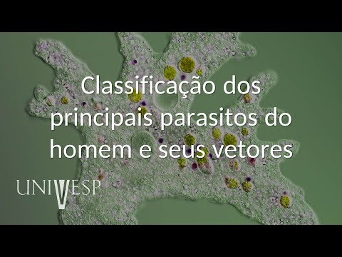 Vídeo: Tipos De Parasitas No Corpo Humano: Classificação, Descrição, Drogas Para Tratamento