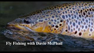 Fly Fishing with Davie McPhail