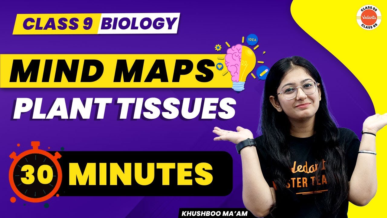 Plant Tissues - Mind Mapping | Tissues Class 9th | NCERT Class 9 Science Biology Chapter-6 