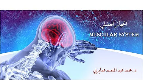 شرح الجهاز العضلى القصراوى Mp3